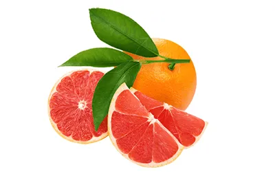 Orange Red Food Colors